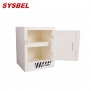 化學(xué)品儲(chǔ)存柜|Sysbel化學(xué)品柜_4Gal強(qiáng)腐蝕性化學(xué)品儲(chǔ)存柜ACP810004