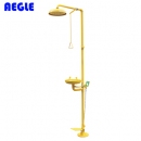AEGLE復合式洗眼器|羿科復合式洗眼器_羿科60902206 洗眼器