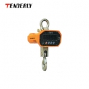 秤|泰得力秤_CW型電子吊秤CW30