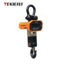 秤|泰得力秤_CW型電子吊秤CW100