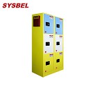 Sysbel西斯貝爾分區(qū)域存儲(chǔ)六門化學(xué)品安全柜WA032050