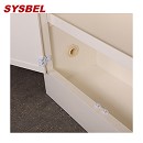 Sysbel西斯貝爾12Gal雙GA鎖強腐蝕性化學品儲存柜ACP810012GA