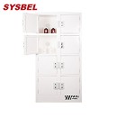 Sysbel西斯貝爾40Gal八門強腐蝕性化學品儲存柜ACP810040