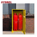 SYSBEL西斯貝爾LP/OXY網狀氣瓶柜WA720304