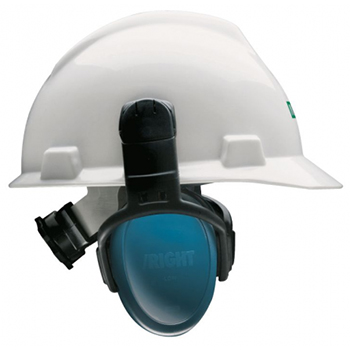 1610507133474975.jpg LR-Bs.jpg